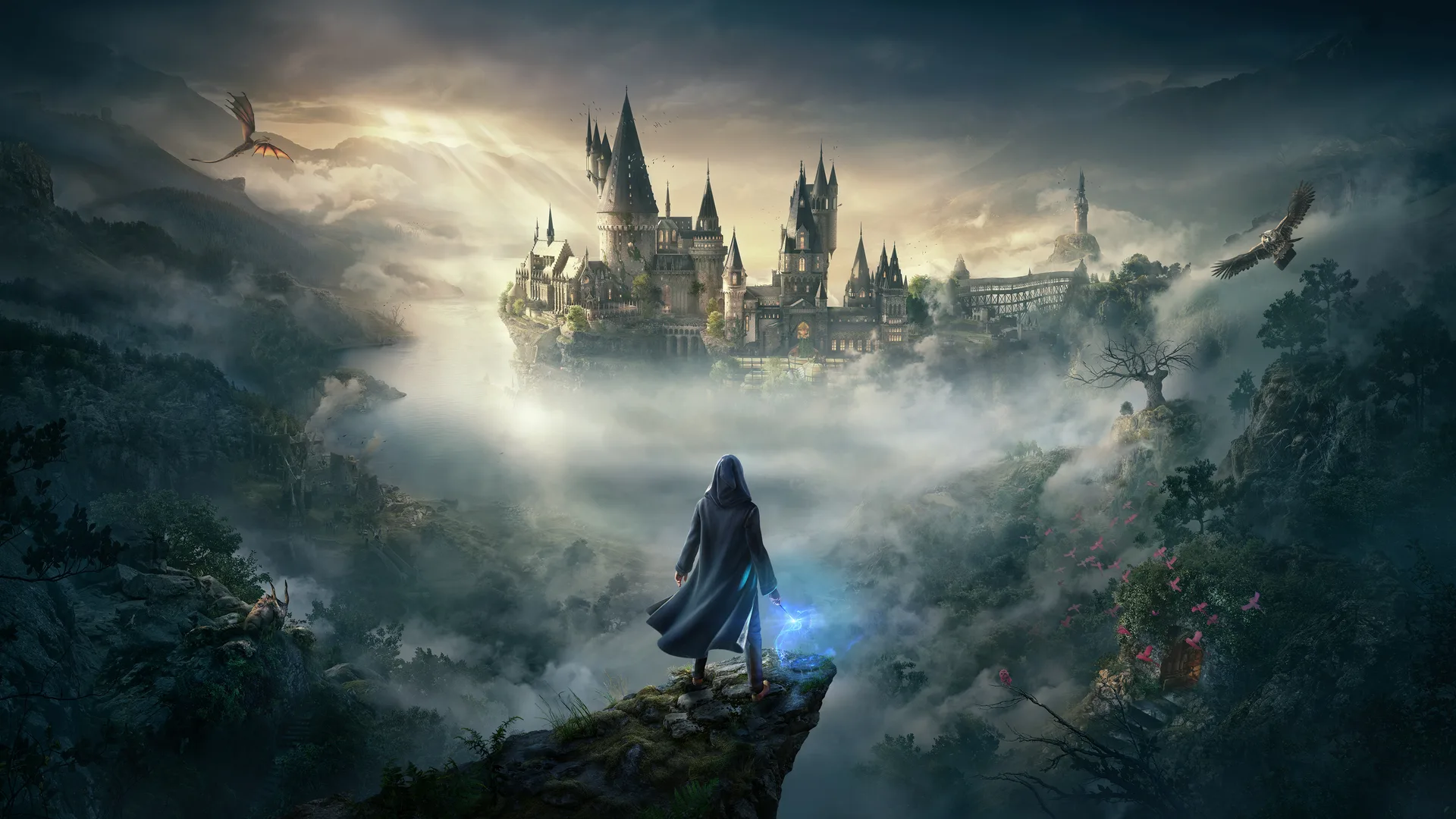 صورة من لعبة Hogwarts Legacy
