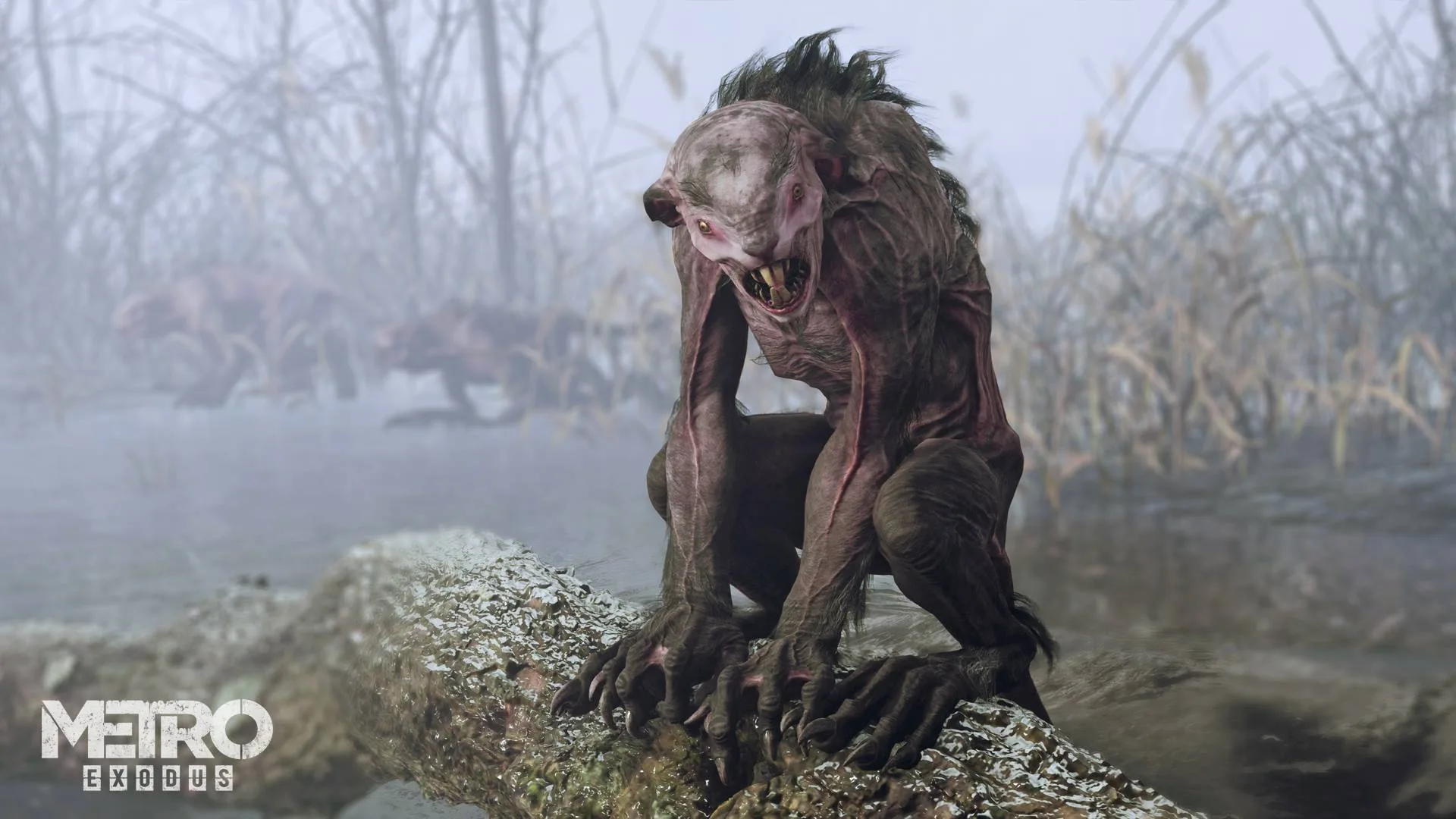 صورة من لعبة Metro Exodus