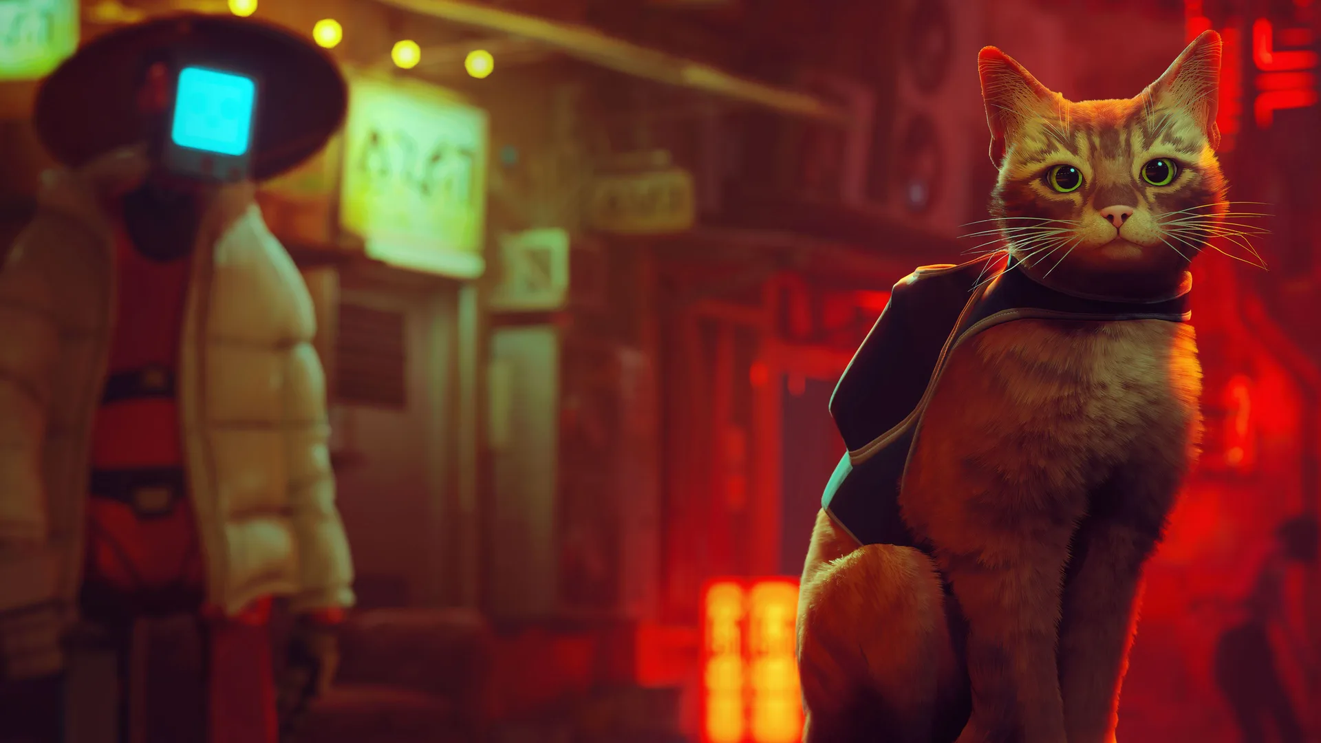 صورة من لعبة Stray
